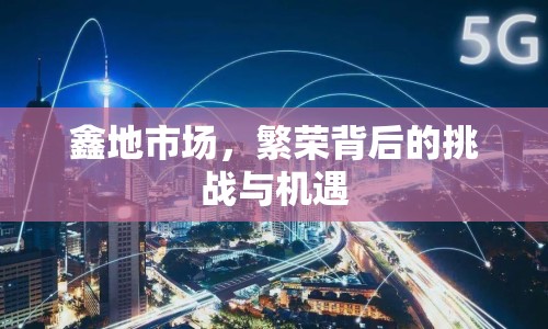 鑫地市場，繁榮背后的挑戰(zhàn)與機遇