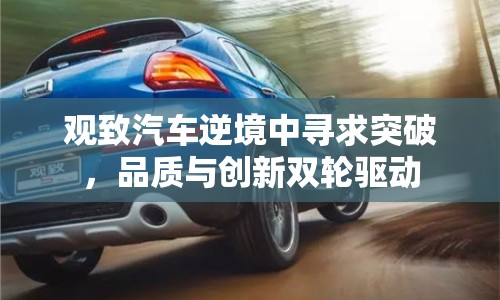 觀致汽車逆境中尋求突破，品質(zhì)與創(chuàng)新雙輪驅(qū)動