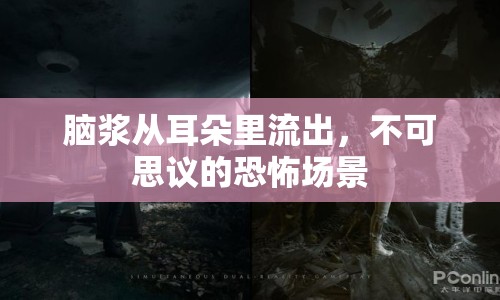 腦漿從耳朵里流出，不可思議的恐怖場(chǎng)景