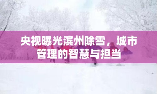 央視曝光濱州除雪，城市管理的智慧與擔(dān)當(dāng)