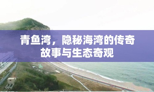 青魚(yú)灣，隱秘海灣的傳奇故事與生態(tài)奇觀