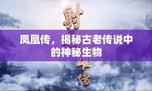 鳳凰傳，揭秘古老傳說(shuō)中的神秘生物