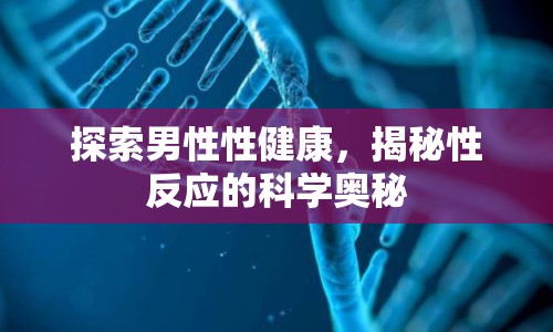 探索男性性健康，揭秘性反應(yīng)的科學(xué)奧秘