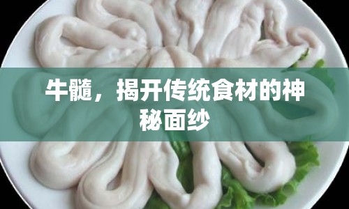牛髓，揭開(kāi)傳統(tǒng)食材的神秘面紗