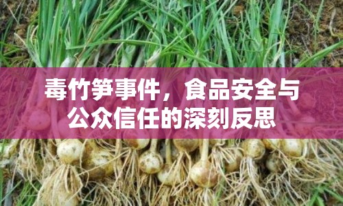 毒竹筍事件，食品安全與公眾信任的深刻反思