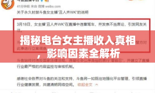 揭秘電臺(tái)女主播收入真相，影響因素全解析