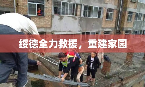 綏德全力救援，重建家園