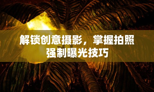 解鎖創(chuàng)意攝影，掌握拍照強(qiáng)制曝光技巧
