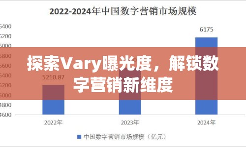 探索Vary曝光度，解鎖數(shù)字營銷新維度