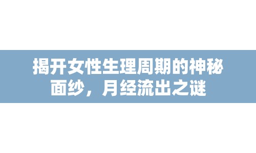 揭開女性生理周期的神秘面紗，月經(jīng)流出之謎
