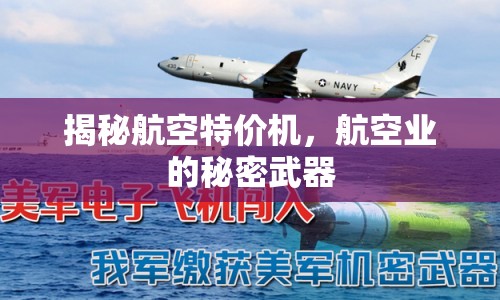 揭秘航空特價機，航空業(yè)的秘密武器