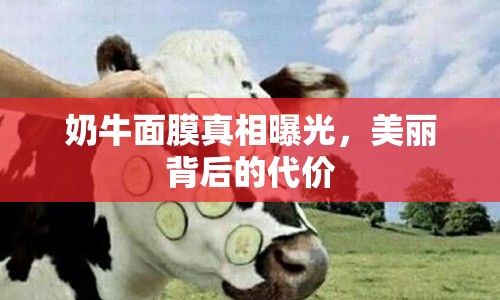 奶牛面膜真相曝光，美麗背后的代價