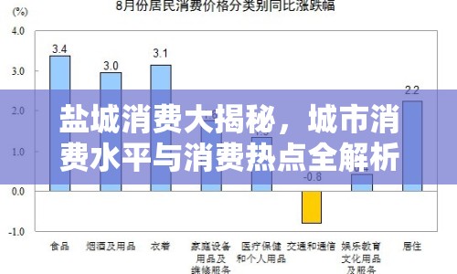 鹽城消費(fèi)大揭秘，城市消費(fèi)水平與消費(fèi)熱點(diǎn)全解析