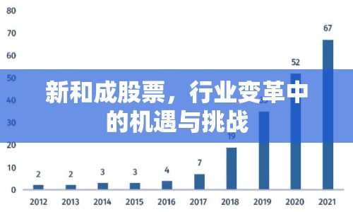 新和成股票，行業(yè)變革中的機遇與挑戰(zhàn)