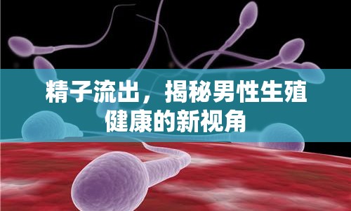 精子流出，揭秘男性生殖健康的新視角