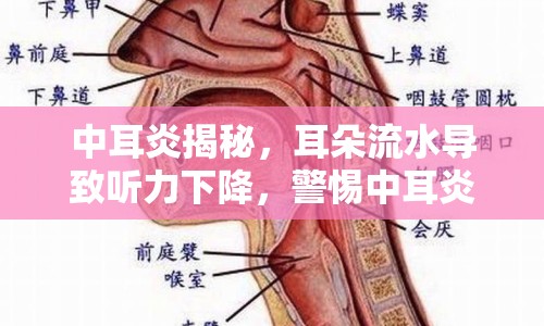 中耳炎揭秘，耳朵流水導致聽力下降，警惕中耳炎影響