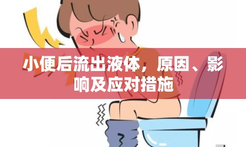 小便后流出液體，原因、影響及應(yīng)對措施