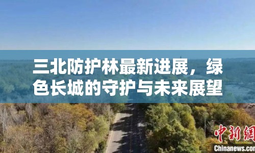 三北防護(hù)林最新進(jìn)展，綠色長(zhǎng)城的守護(hù)與未來(lái)展望