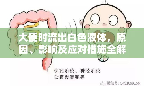 大便時流出白色液體，原因、影響及應(yīng)對措施全解析