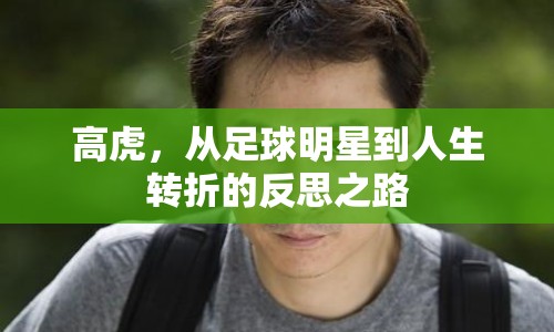 高虎，從足球明星到人生轉(zhuǎn)折的反思之路