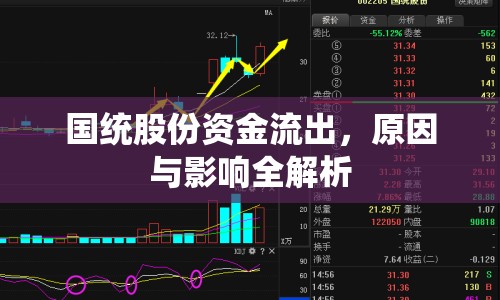 國統(tǒng)股份資金流出，原因與影響全解析