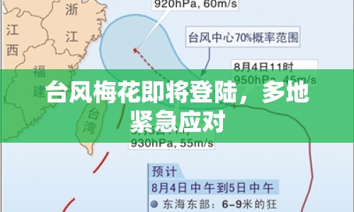 臺風(fēng)梅花即將登陸，多地緊急應(yīng)對