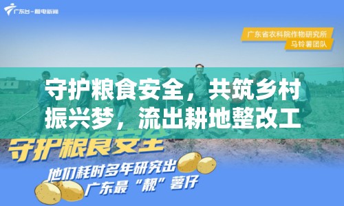 守護糧食安全，共筑鄉(xiāng)村振興夢，流出耕地整改工作全面展開