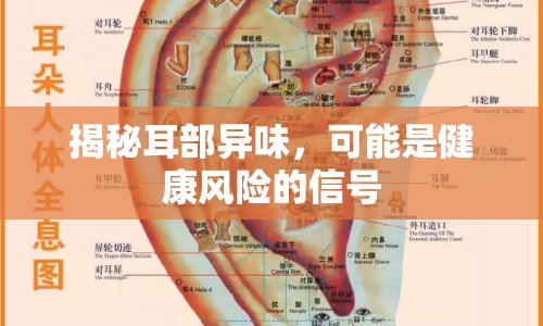 揭秘耳部異味，可能是健康風(fēng)險的信號