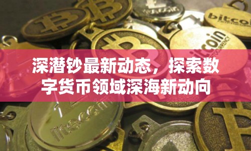 深潛鈔最新動態(tài)，探索數(shù)字貨幣領(lǐng)域深海新動向