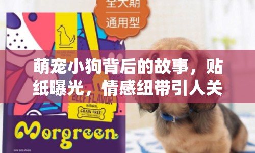 萌寵小狗背后的故事，貼紙曝光，情感紐帶引人關(guān)注