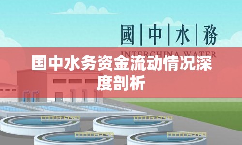 國中水務(wù)資金流動(dòng)情況深度剖析