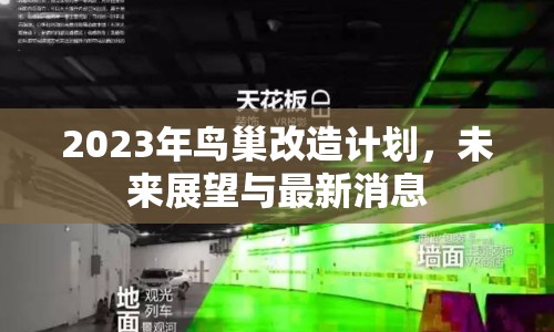 2023年鳥巢改造計劃，未來展望與最新消息