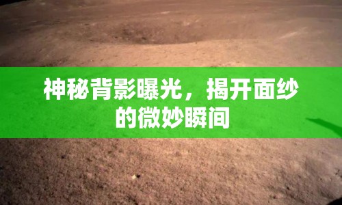 神秘背影曝光，揭開面紗的微妙瞬間