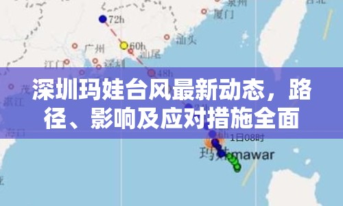 深圳瑪娃臺風(fēng)最新動態(tài)，路徑、影響及應(yīng)對措施全面解析
