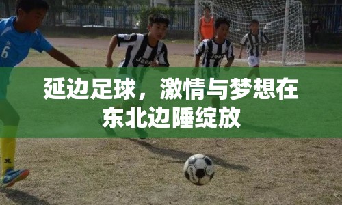 延邊足球，激情與夢想在東北邊陲綻放