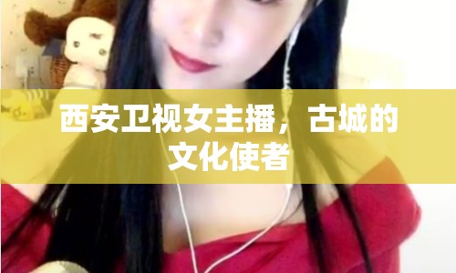 西安衛(wèi)視女主播，古城的文化使者