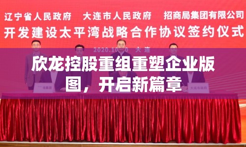欣龍控股重組重塑企業(yè)版圖，開啟新篇章