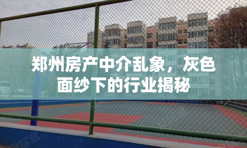 鄭州房產(chǎn)中介亂象，灰色面紗下的行業(yè)揭秘