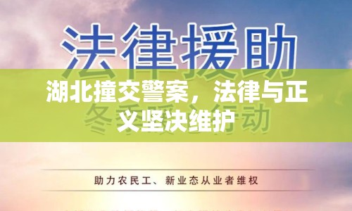 湖北撞交警案，法律與正義堅決維護