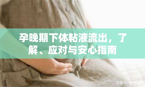 孕晚期下體粘液流出，了解、應(yīng)對與安心指南