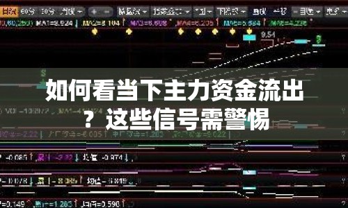 如何看當下主力資金流出？這些信號需警惕