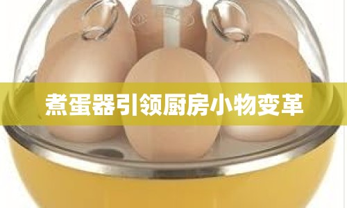 煮蛋器引領(lǐng)廚房小物變革