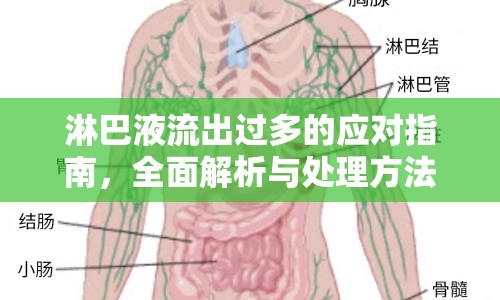 淋巴液流出過多的應(yīng)對指南，全面解析與處理方法