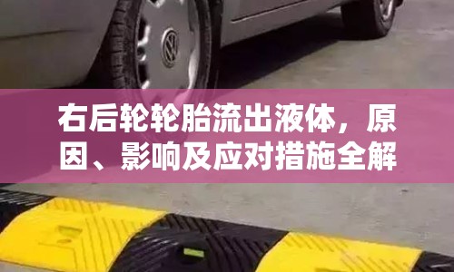 右后輪輪胎流出液體，原因、影響及應(yīng)對措施全解析