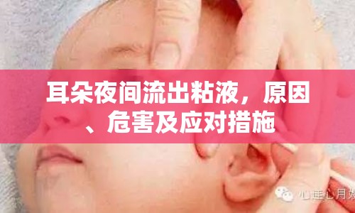 耳朵夜間流出粘液，原因、危害及應對措施