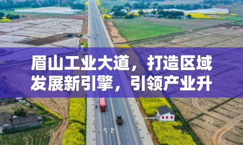 眉山工業(yè)大道，打造區(qū)域發(fā)展新引擎，引領(lǐng)產(chǎn)業(yè)升級新篇章