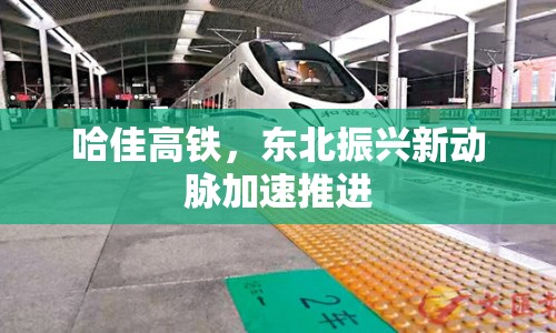 哈佳高鐵，東北振興新動脈加速推進