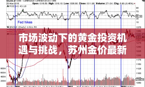 市場(chǎng)波動(dòng)下的黃金投資機(jī)遇與挑戰(zhàn)，蘇州金價(jià)最新消息