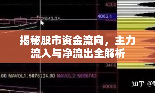 揭秘股市資金流向，主力流入與凈流出全解析