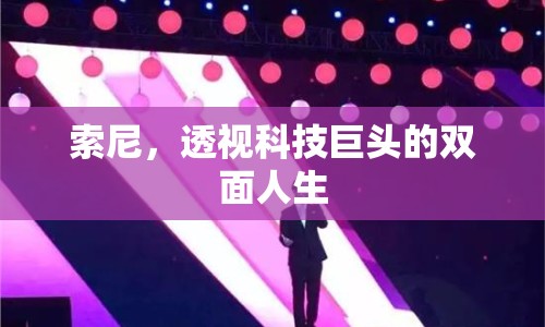 索尼，透視科技巨頭的雙面人生